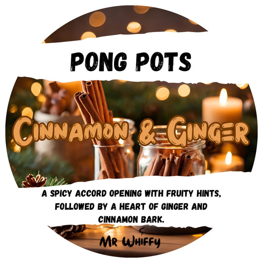 Cinnamon & Ginger - Pong Pot/Wax Melt